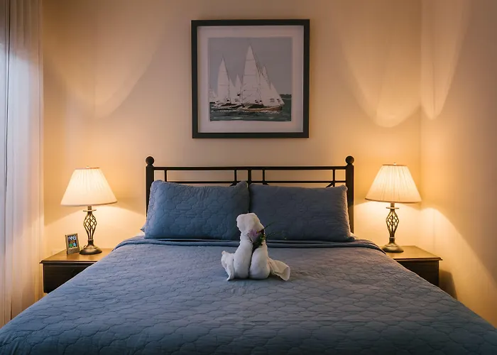 Casas Del Toro 4*