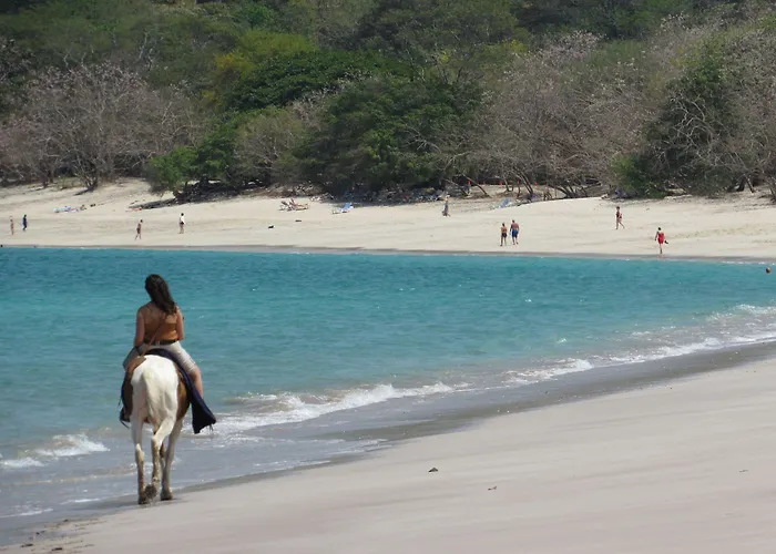 Casas Del Toro 4* Playa Flamingo